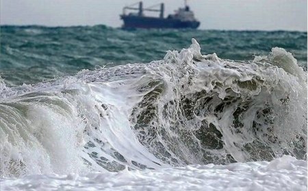 هواشناسی بوشهر هشدار دریایی سطح نارنجی صادر کرد؛ وزش باد شدید و مواج شدن خلیج فارس
