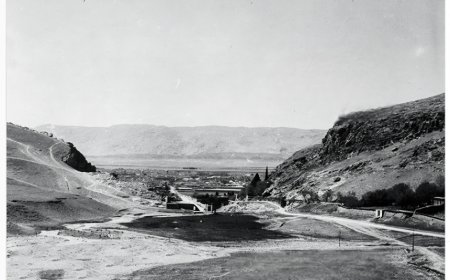 یک نمای جالب از  شیراز در ۱۰۵ سال پیش