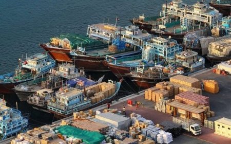 مجوز لنج‌ها و تمدید پروانه مرزنشینان برای واردات کالاهای اساسی
