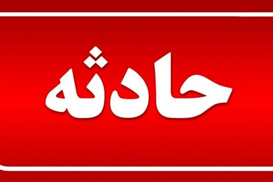 برخورد مینی‌بوس با غلطک در شهرک صنعتی بوشهر؛ ۱۵ مصدوم