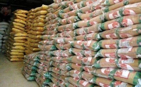 ۱۲۵۰ تن برنج دپو شده در بندر شادگان ترخیص شد