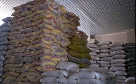 ۱۵۰ تُن برنج احتکاری در یکی از انبارهای بندری هرمزگان کشف شد