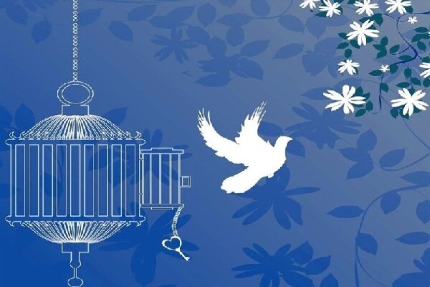 ۵ زندانی‌ مالی به همت یک بانوی خیّر در فارس آزاد شدند