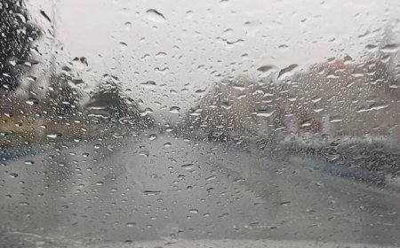 بارندگی در استان بوشهر ادامه دارد