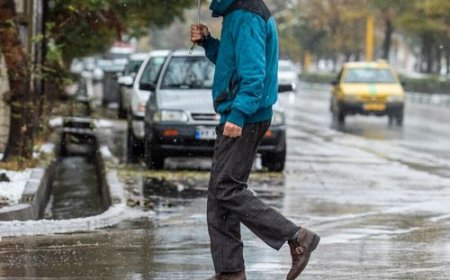 بارندگی در استان بوشهر تا فردا ادامه دارد