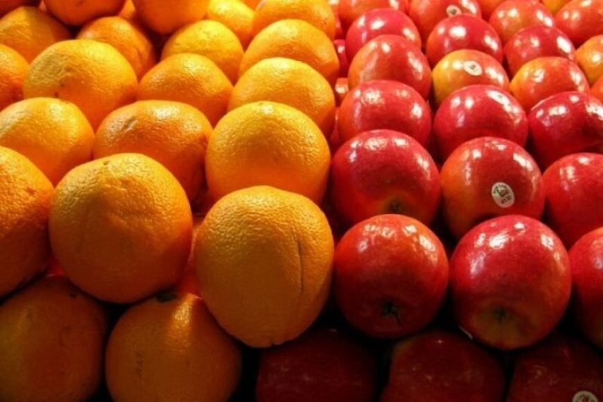 ۱۰۵ تن سیب و پرتقال