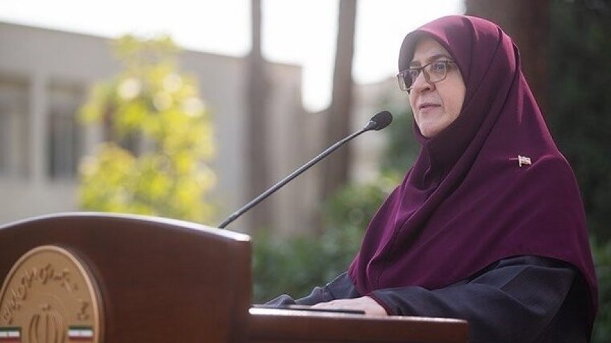 سخنگوی دولت: ماهانه ۲ میلیون تومان به حساب مادران واریز می‌شود