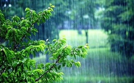 هشدار سطح نارنجی هواشناسی برای استان بوشهر
