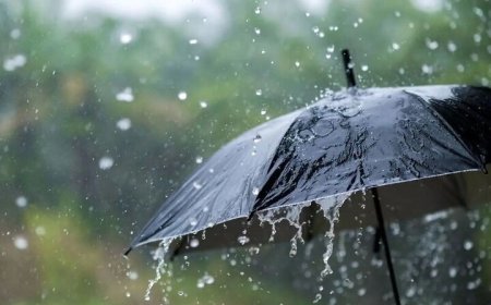 آغاز بارش باران در استان بوشهر از امروز