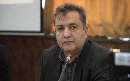 معرفی ۷۷ واحد صنعتی متخلف در فارس به مراجع قضایی