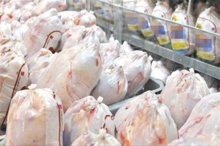 گلایه رئیس بازرسی منطقه ۳ کشور از گرانی قیمت مرغ گرم در فارس