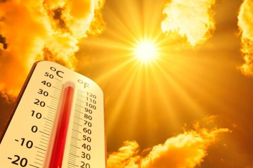 افزایش تدریجی دمای هوا در فارس تا اواسط هفته