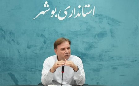 استاندار بوشهر: ۹۰ درصد خاموشی‌های سال گذشته در استان مهار شد