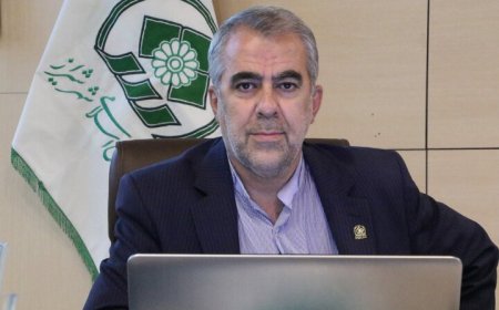 بزرگراهی در تهران به نام حضرت شاهچراغ(ع) نامگذاری شود