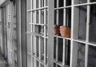 تبادل ۱۵۹ محکوم ایرانی از عراق در مرز شلمچه انجام شد