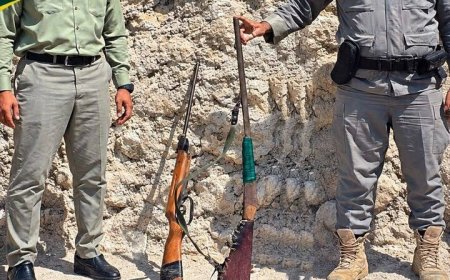 کشف و ضبط ۲ قبضه سلاح در منطقه حفاظت شده گنو بندرعباس