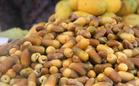 هرمزگان چهار فصل، یک گام تا تکمیل زنجیره ارزش کشاورزی