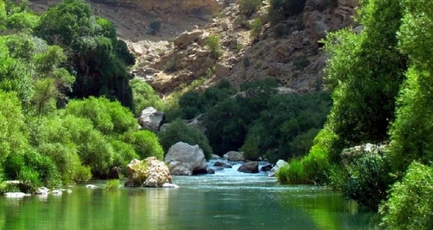 تنگ بستانک کجاست؟ سفر تابستانی به «بهشت گمشده» فارس