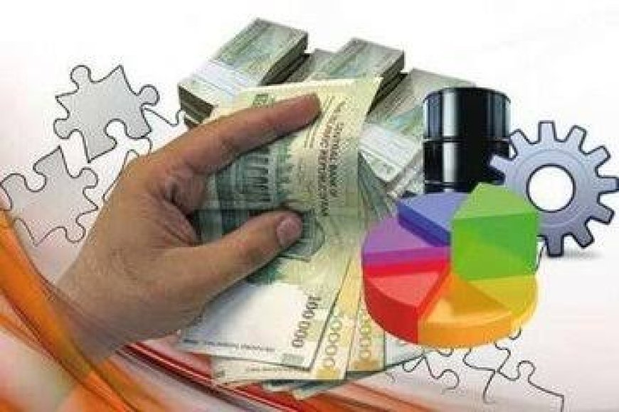تعاونی‌های بوشهر ۵۰ میلیارد تومان اعتبار می‌گیرند