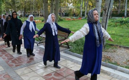 فارس با ۷۰۰ هزار سالمند؛ ضرورت توسعه محله‌های دوستدار سالمند