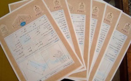 صدور بیش از ۸۲۰ سند مالکیت برای اراضی زراعی دزفول