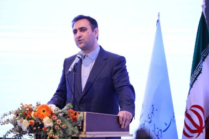 ساختار مستقل سرمایه‌گذاری در هر ۳۱ استان ایجاد شد